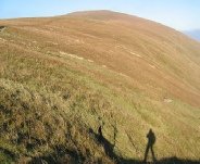 Great dodd Photo ©  Ann Bowker