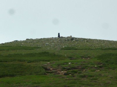 Morgan on Stybarrow Dodd