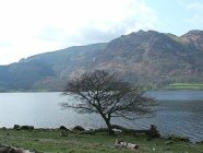Bassenthwaite, Cumbria Photo © Rob Shephard 2008